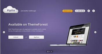 簡約時(shí)尚的網(wǎng)頁設(shè)計(jì)，為品牌注入高效營銷理念